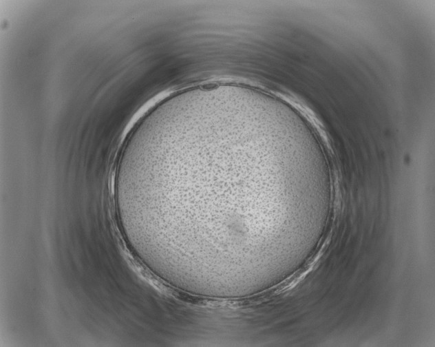 X0000086301198200704271819