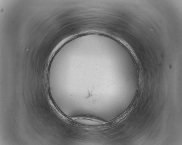 X0000086301199200704271819