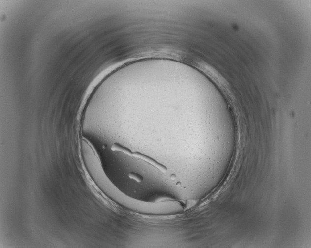 X0000086301200200704271819