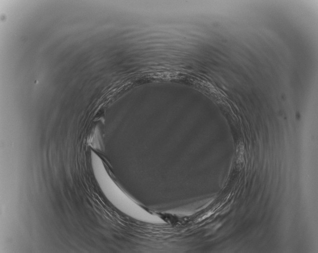 X0000086301202200704271818