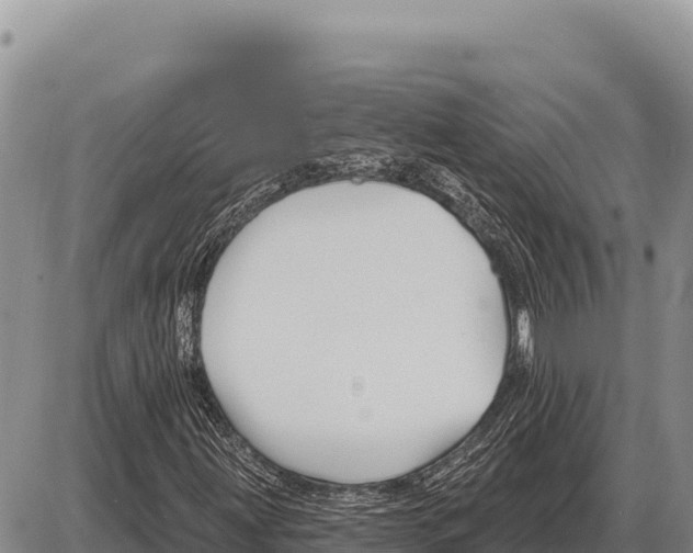 X0000086301203200704271818