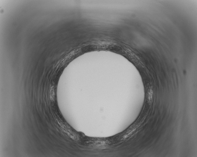 X0000086301204200704271818