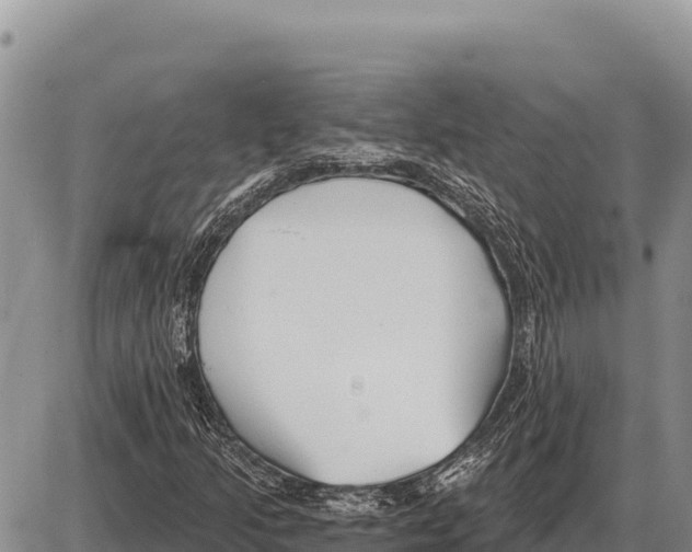 X0000086301205200704271818