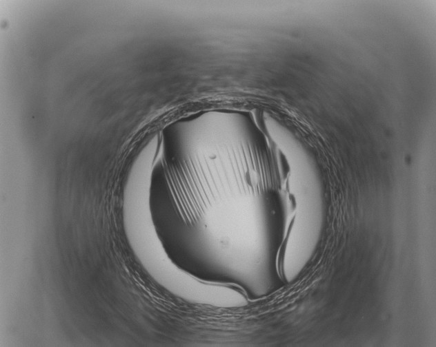 X0000086301206200704271818