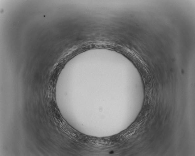 X0000086301207200704271818