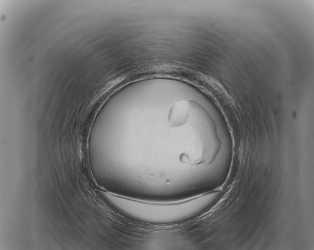 X0000086301209200704271818