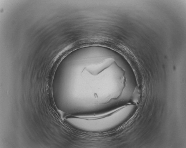 X0000086301210200704271818