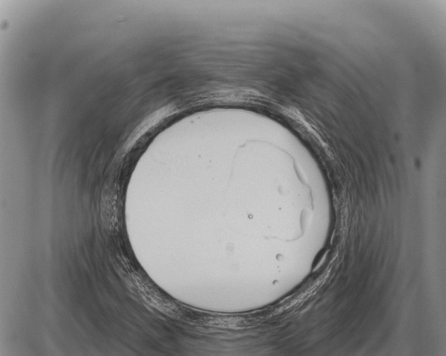 X0000086301211200704271818