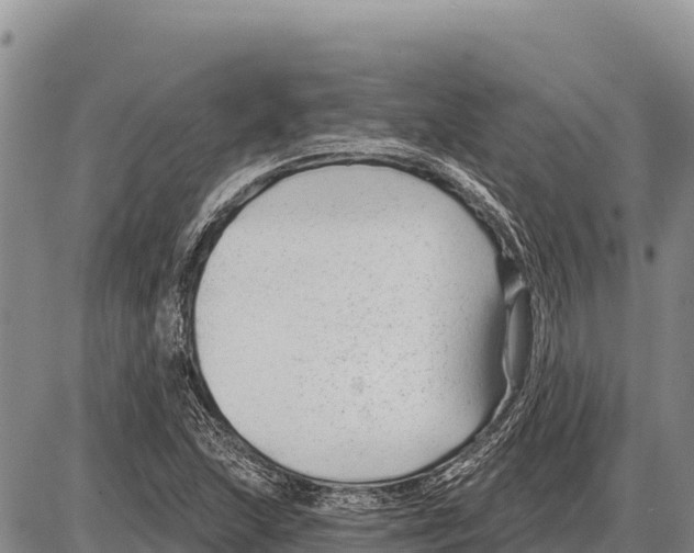 X0000086301215200704271818