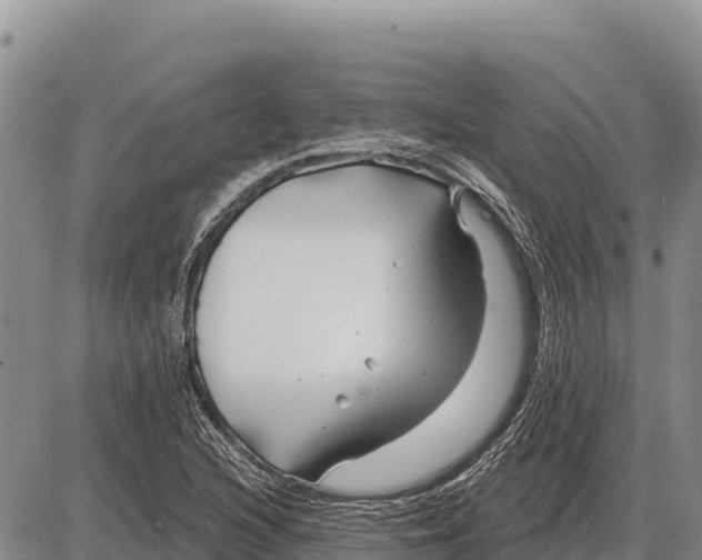 X0000086301216200704271818