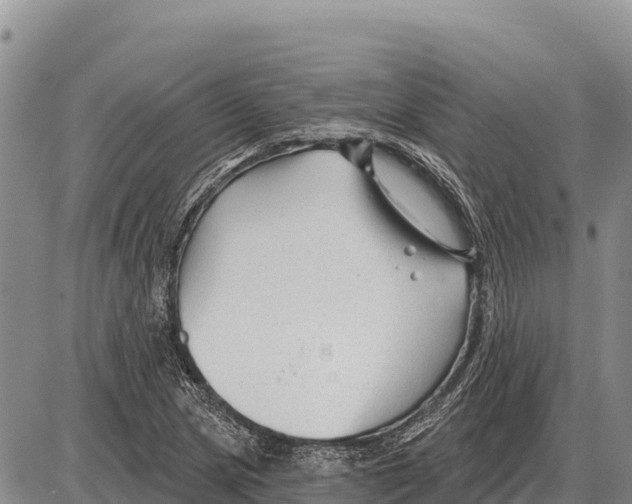 X0000086301217200704271818