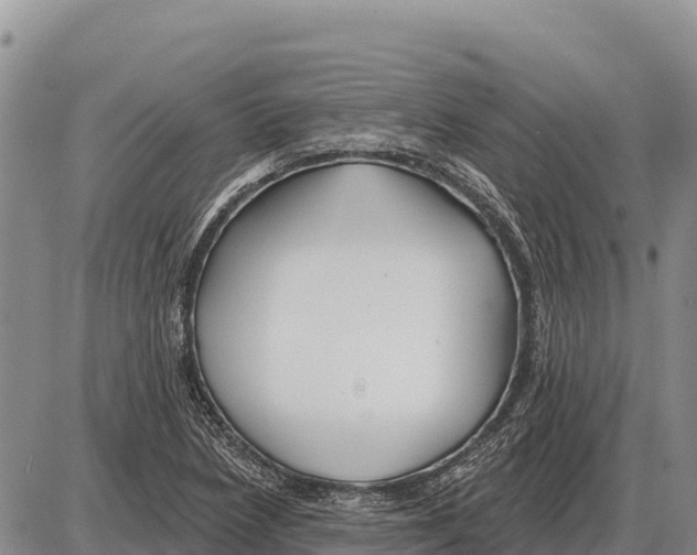 X0000086301218200704271818