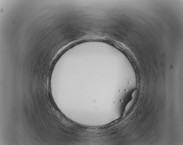 X0000086301220200704271819