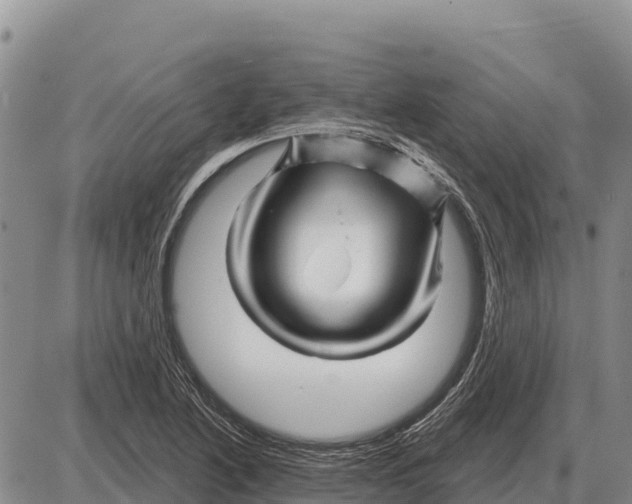 X0000086301222200704271819