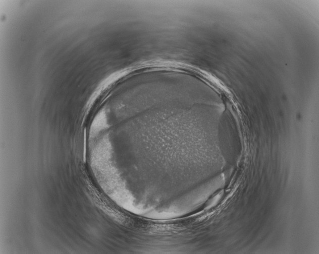 X0000086301223200704271819