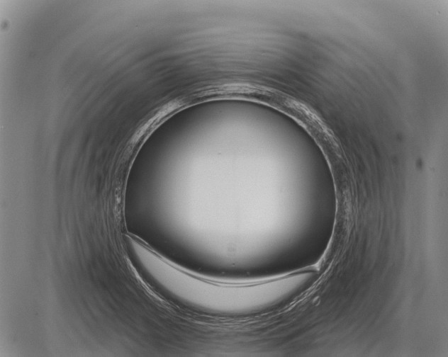 X0000086301225200704271819