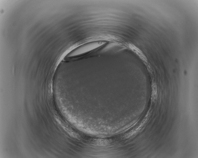 X0000086301226200704271819