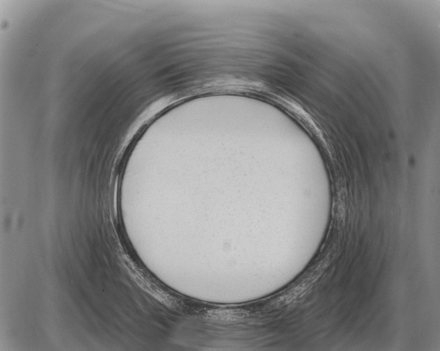 X0000086301227200704271819