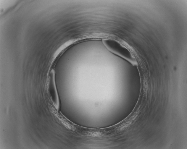 X0000086301230200704271819