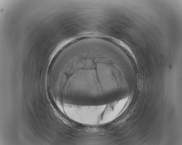 X0000086301231200704271819