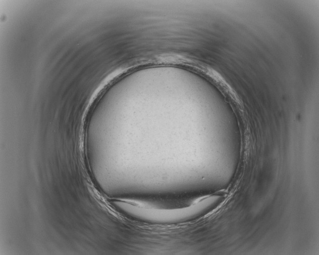 X0000086301232200704271819