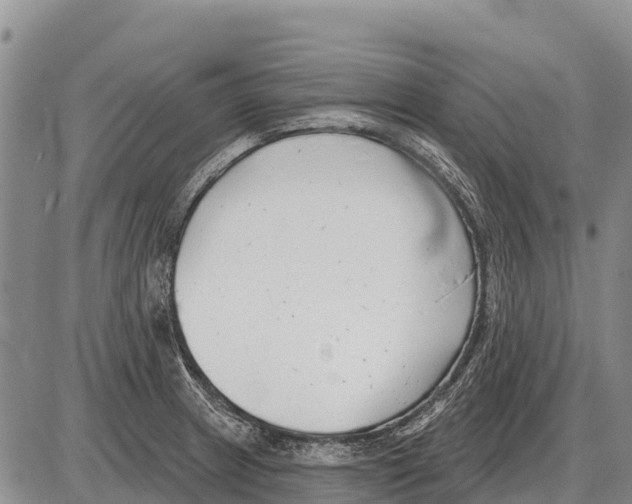 X0000086301233200704271819