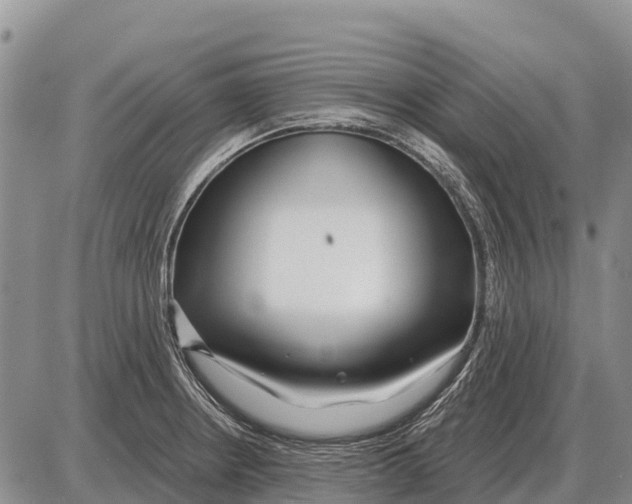 X0000086301234200704271819