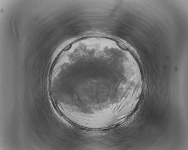 X0000086301239200704271819