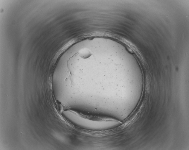 X0000086301241200704271819