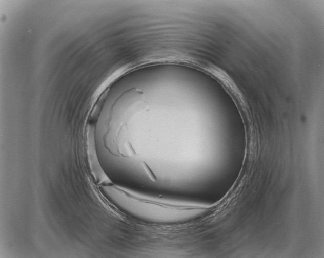 X0000086301242200704271819