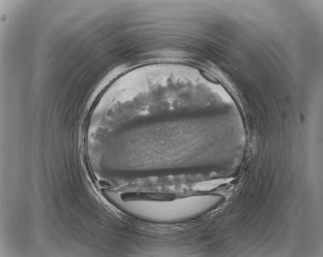 X0000086301243200704271819