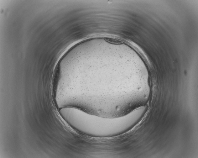 X0000086301244200704271819