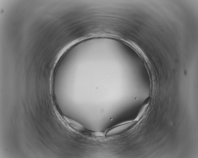 X0000086301246200704271819