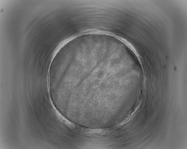 X0000086301247200704271819