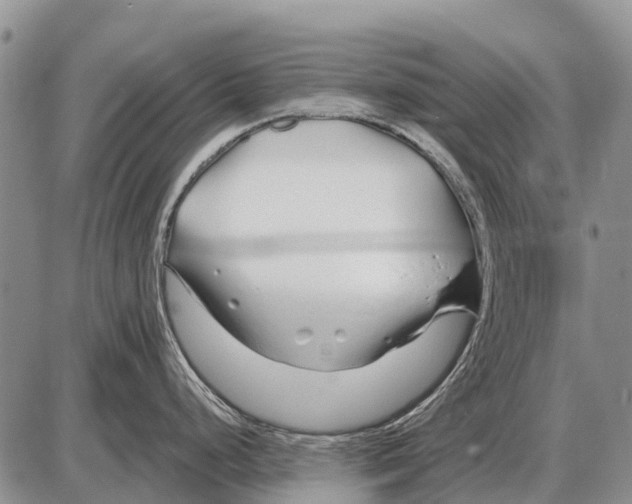 X0000086301248200704271819