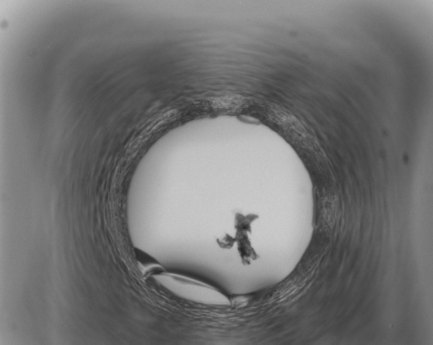 X0000086301249200704271818