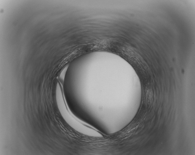 X0000086301250200704271818