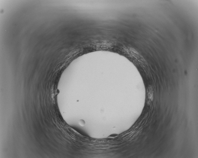 X0000086301252200704271818