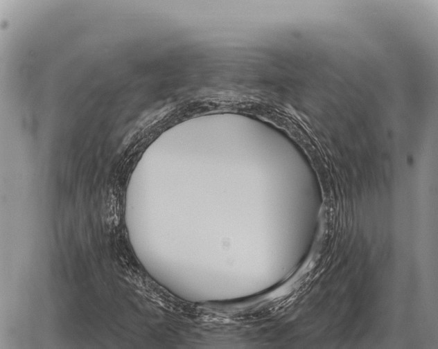 X0000086301253200704271818