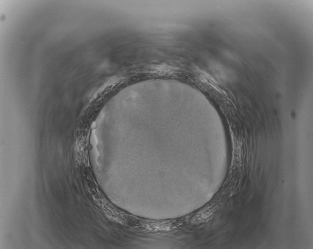 X0000086301254200704271818