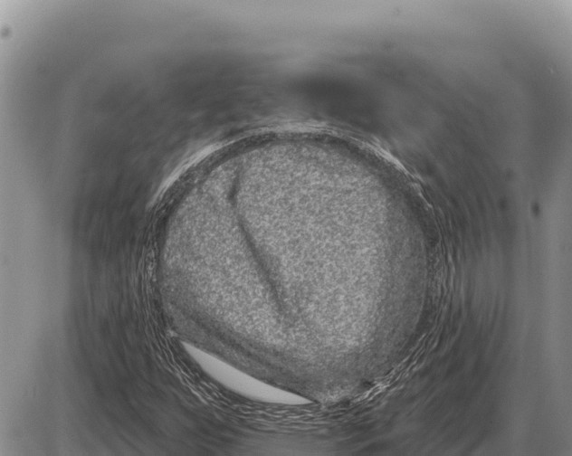 X0000086301255200704271818