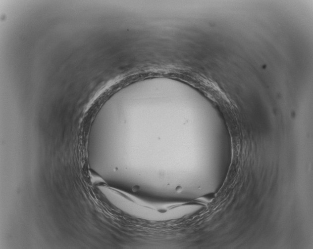 X0000086301256200704271818