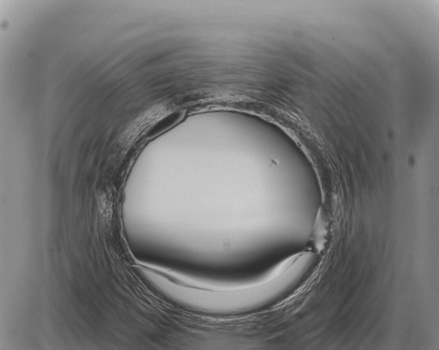 X0000086301257200704271818