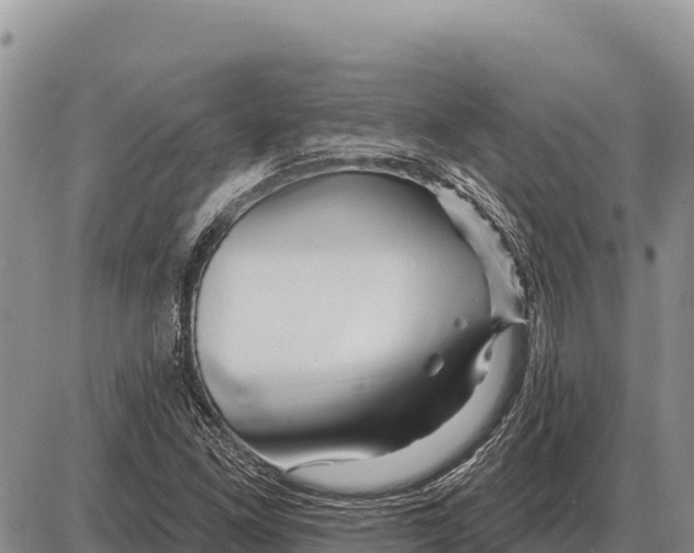 X0000086301261200704271818