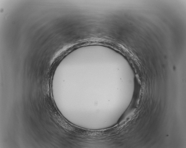 X0000086301262200704271818