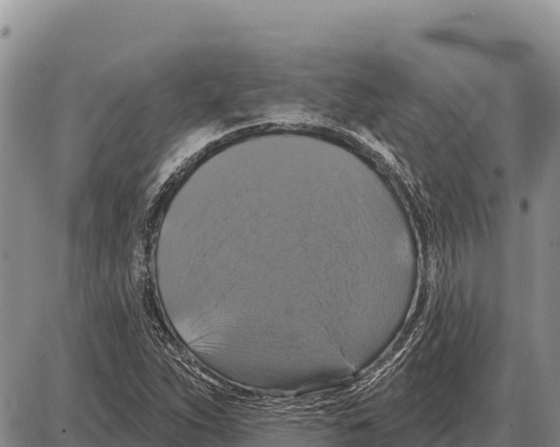 X0000086301263200704271818