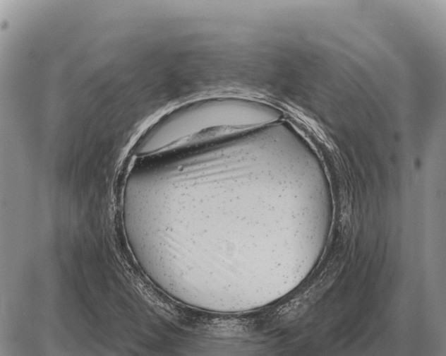 X0000086301264200704271818