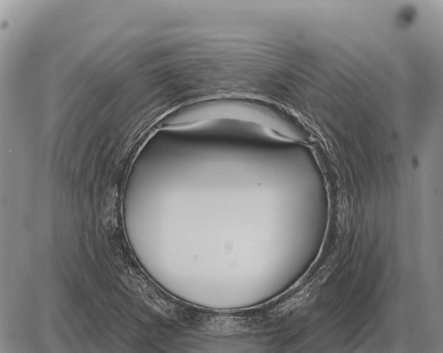 X0000086301265200704271818