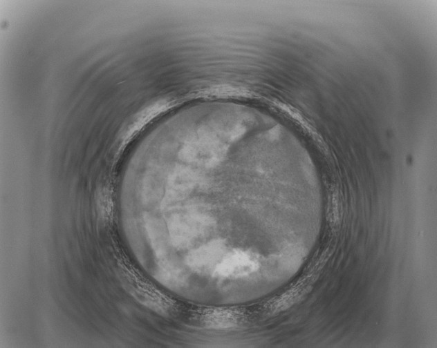 X0000086301266200704271818