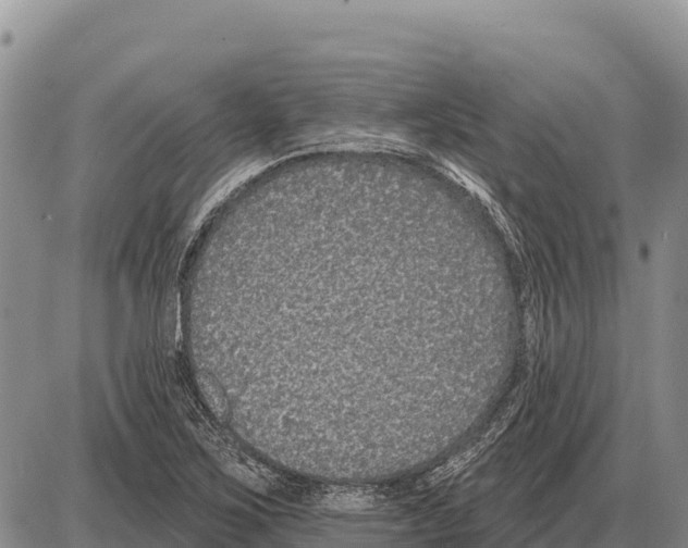 X0000086301267200704271818